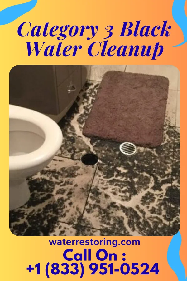 Category 3 Black Water Cleanup in Talmo, GA
