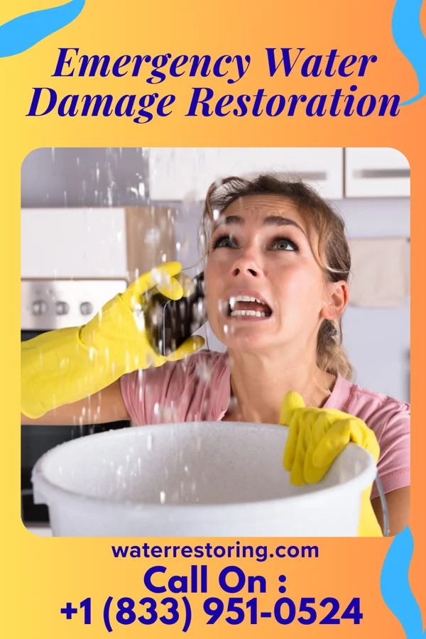 Emergency Water Damage Restoration in Talmo, GA